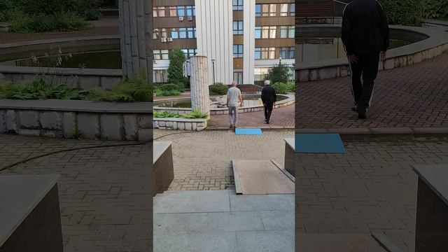 18-07-2026Рыбки плавают в госпитале 