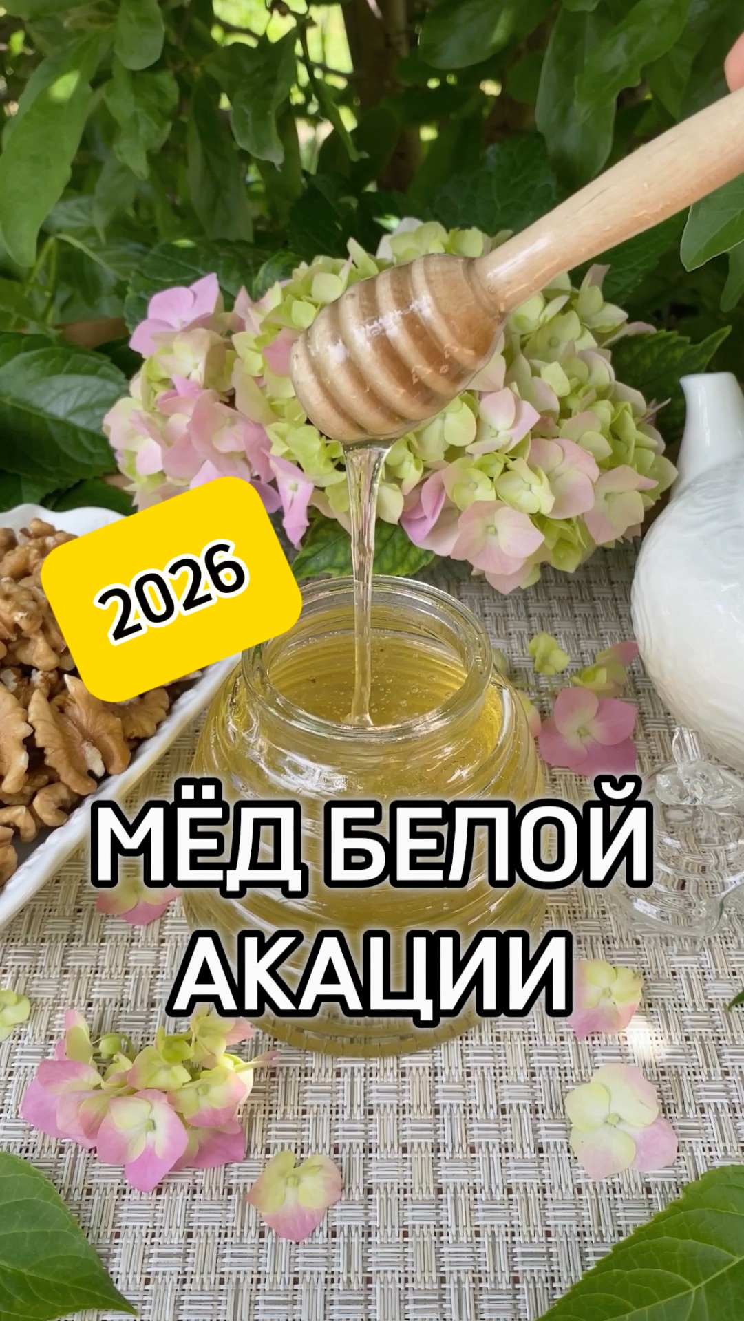 Мёд белой акации 2026 года! Монофлорный. Самый низкоаллергенный.