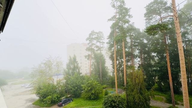 Утренний туман