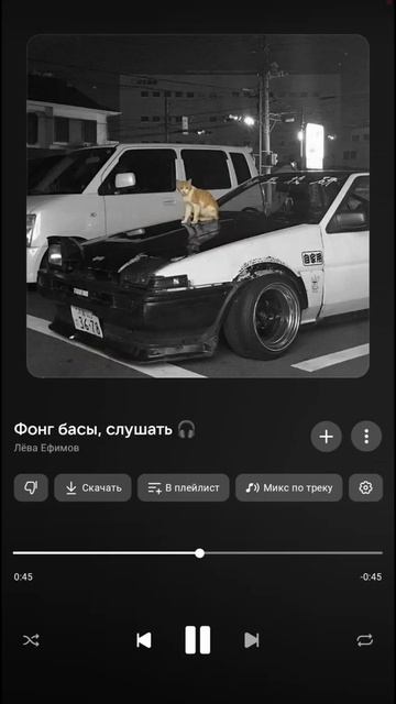 Лёва Ефимов
Фонг басы, слушать