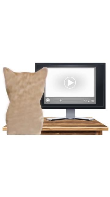 😺 КАК РАБОТАЕТ ЛУНАТИК «КИСЫ ОБЪЯСНЯЮТ»