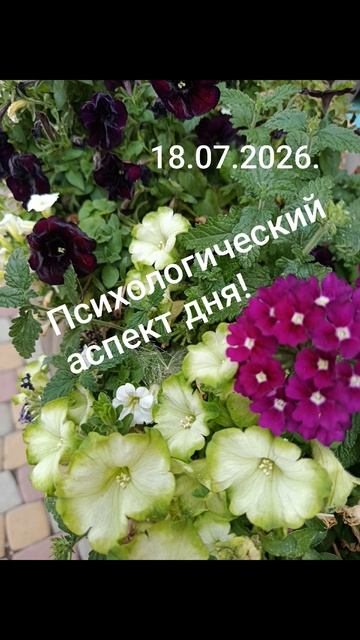 18.07.2026.✨🌈☀️Психологический аспект дня!Удача, союз, блага... Озаряй этот мир ярким светом!#разум