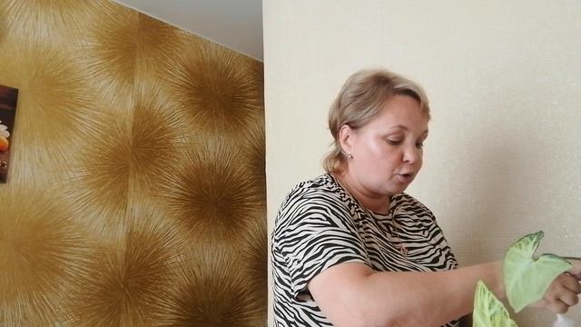 Распаковка чек👍👍👍