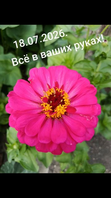 Девиз дня!✨🌈☀️18.07.2026. Смело создавай свою жизнь! Всё в твоих руках!#мысли #слова #чувства #душа