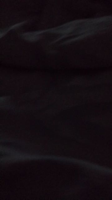 442.mp4