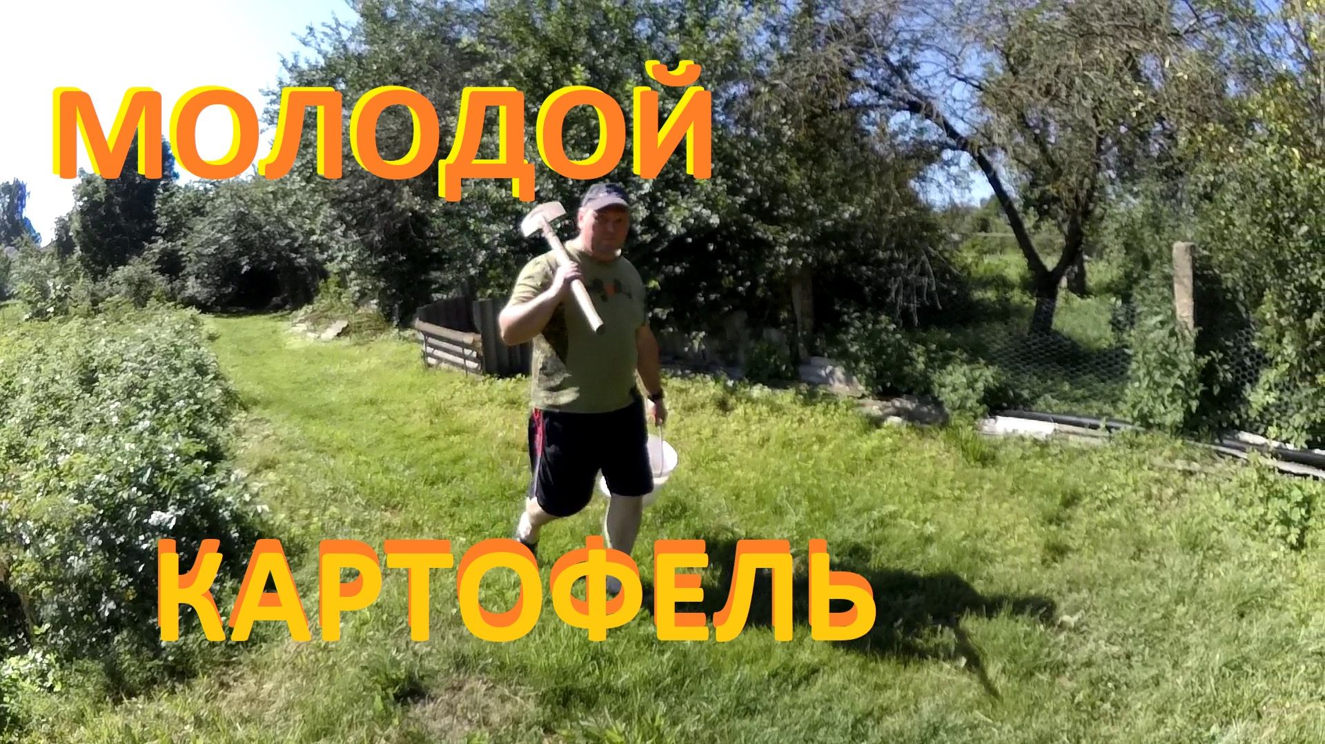 Молодой картофель на столе