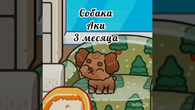 новый семья❤