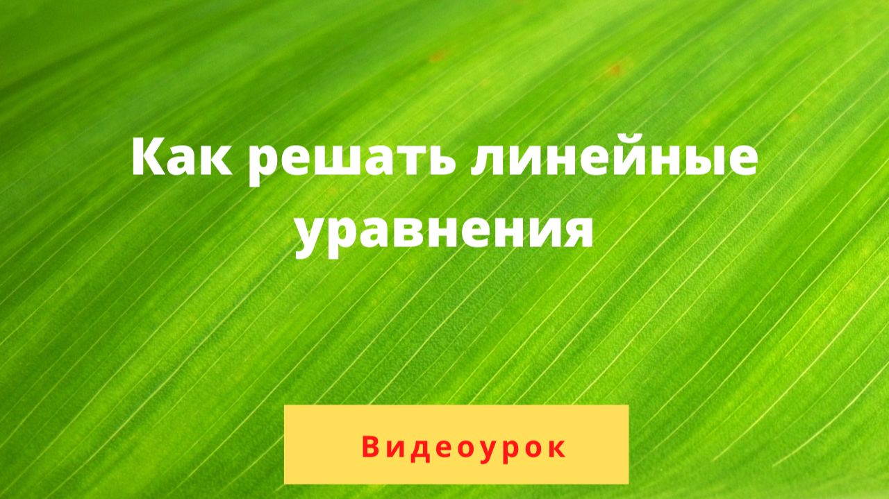 Линейное уравнение. Урок 1