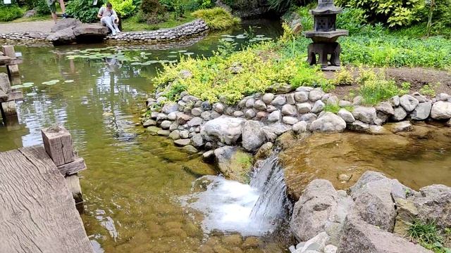 Японский сад в парке Еремовац. Сербия. Белград. Japanese Garden In Jeremovac Park. Serbia. Belgrade