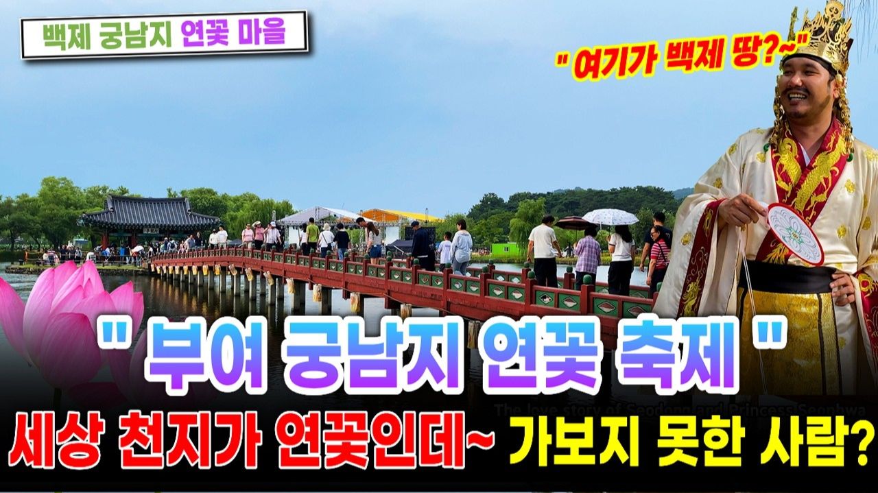 부여 궁남지 연꽃축제! 한국인 이라면 꼭 가봐야 할 백제 궁남지 연꽃마을을 찾아서! 서울여행워커