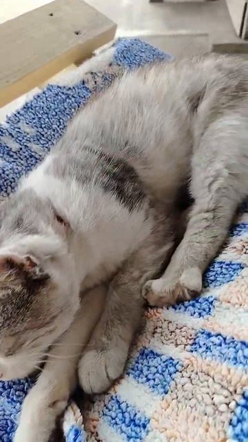 мой пирожочек 💋
