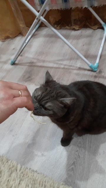 ЛЮБИТЬ СЫР ДО СЛЁЗ 😭 НЕВЕРОЯТНО ВКУСНО!!!😋😻
