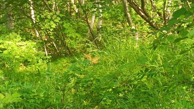 19-07-2026 - Чныррахская крепость