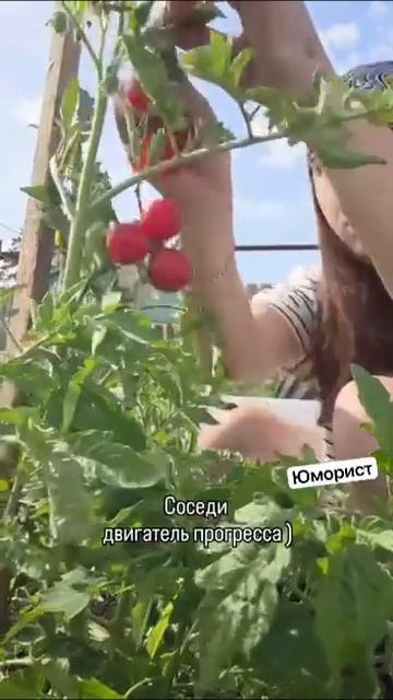 Соседям на зависть