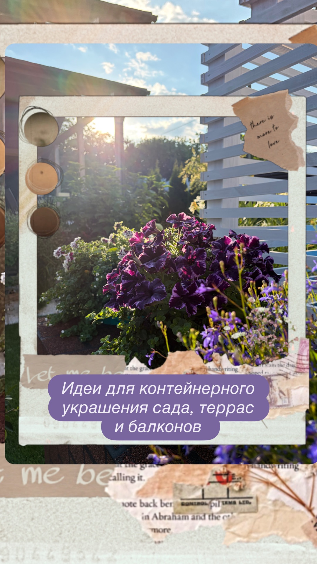 Идеи для украшения контейнерами сада, террас и балконов