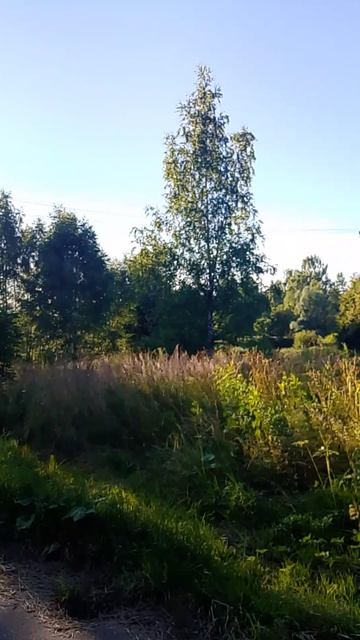 Зашли в деревню 19.07.26.