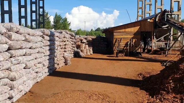 Кора Сибири Усть-Илимск