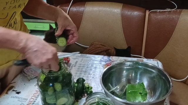 убираю курей,сушим яблочки)🍏