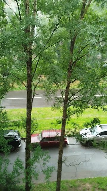 погода из Санкт-Петербурга