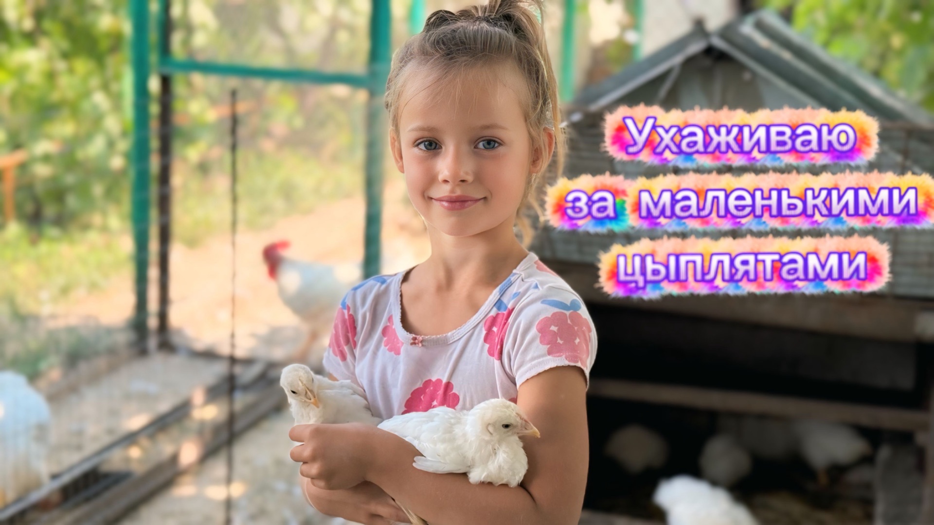 Как я ухаживаю за маленькими цыплятами! Забота и любовь