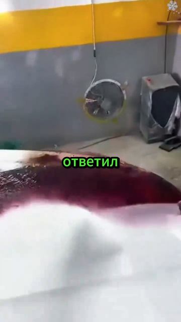 из психушки не выгоняют