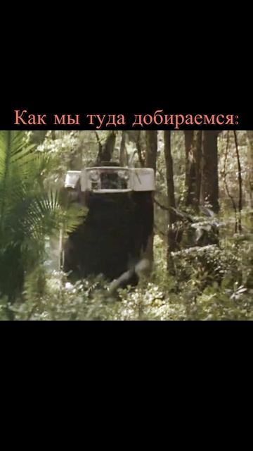 Горный Алтай 2026г.