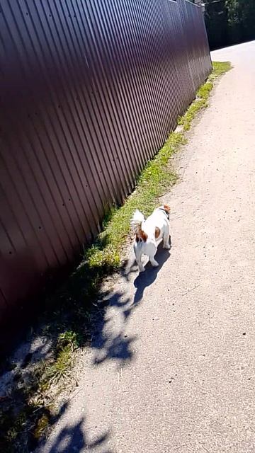 Сегодня, жарень 19.07.26.