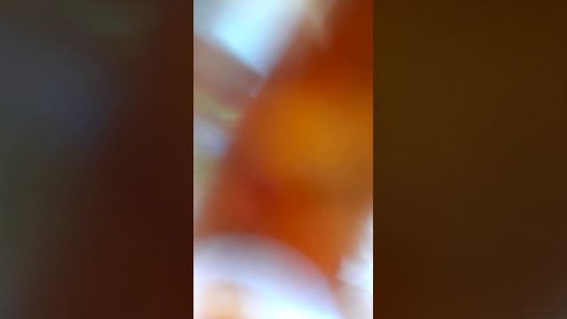 готовим плов на огороде
