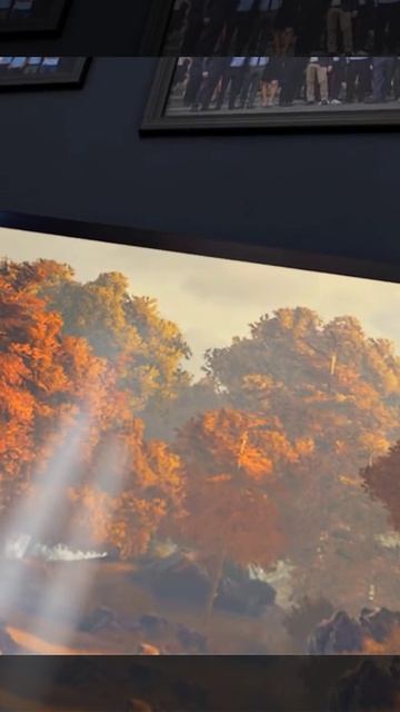Мармок VR