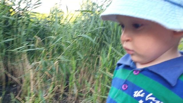 Рома гуляет, 18.07.2026