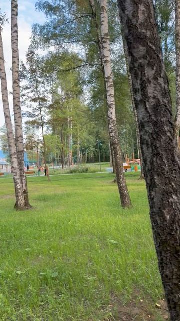 По знакомым улицам: прогулка по Электростали с неожиданными историями.