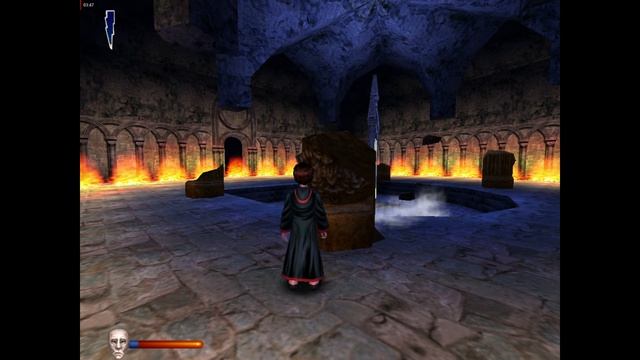 Гарри Поттер 19 Серия (PC)