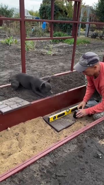 На нем вся стройка держится 😁😁😁