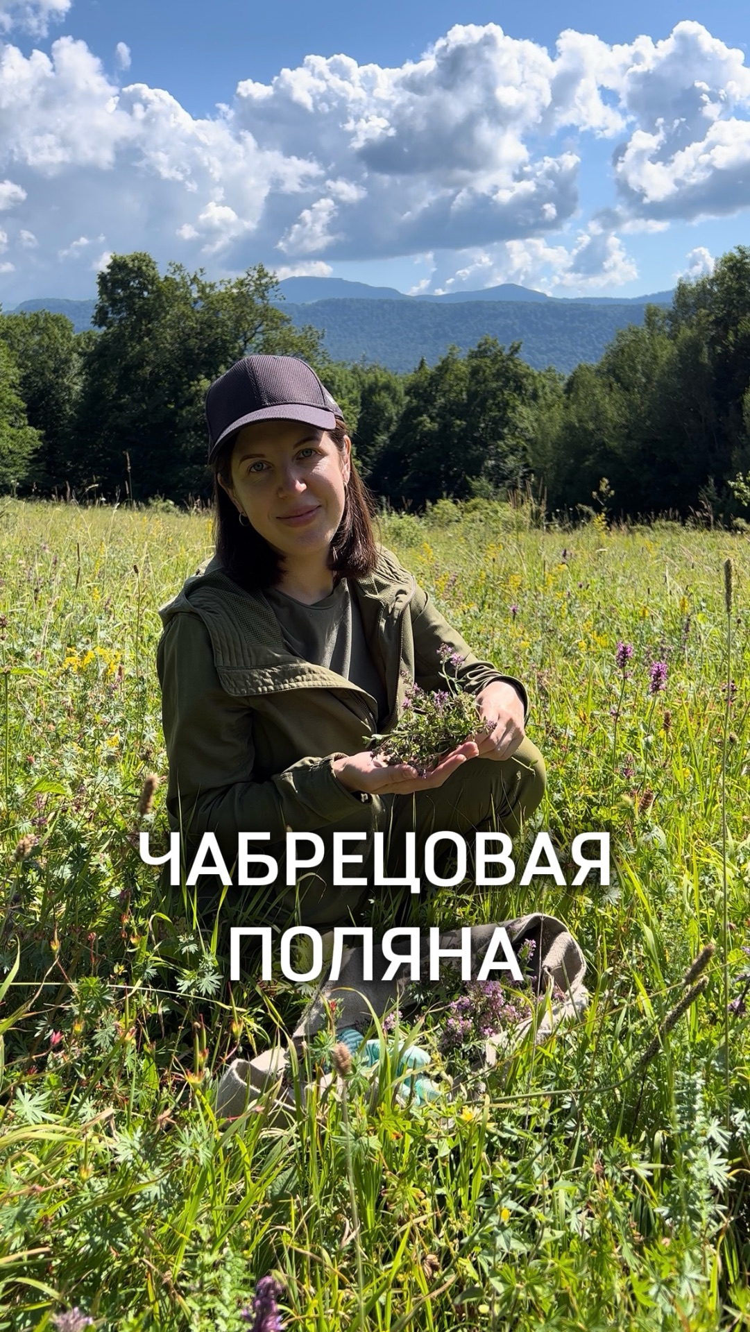 Чабрец - собираем ароматное лекарственное растение для лечебных целей и зимних чаепитий #чабрец #чай