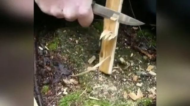 Как развести костер в сырую погоду.