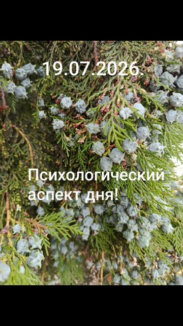 19.07.2026.✨🌈☀️Психологический аспект дня! Успешность! Интуиция! Потенциал! Так ли это? Сопоставляй