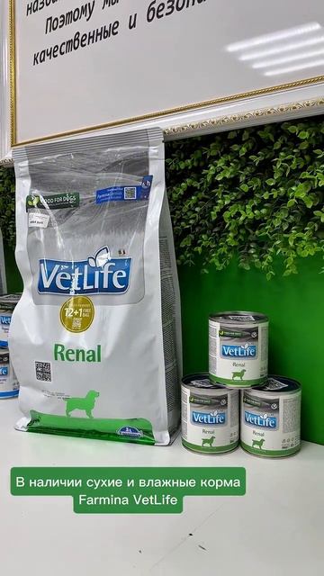 Корма: Farmina Vet Life | “Мистер Гав» Челябинск #shorts