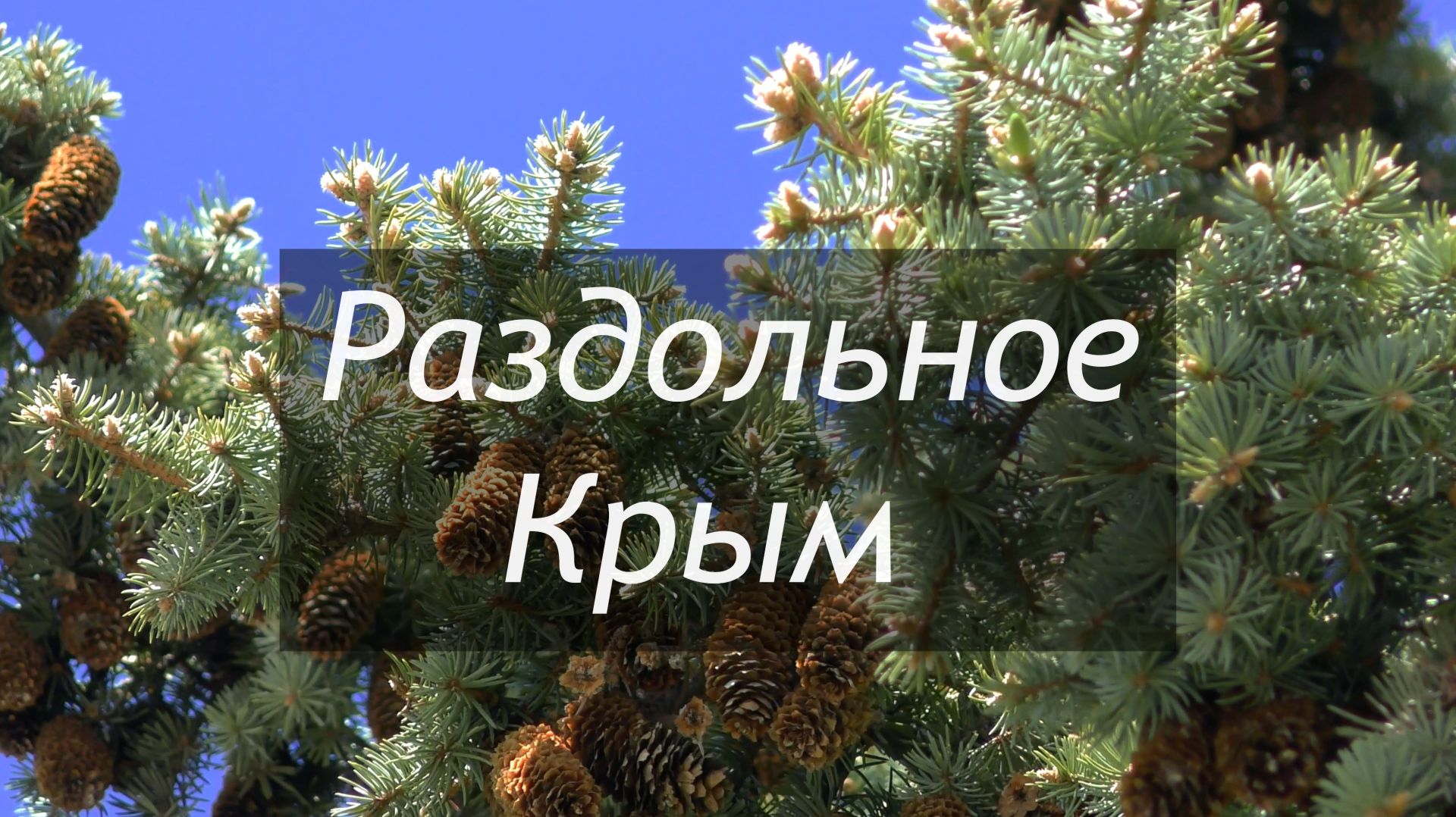 Раздольное Крым
