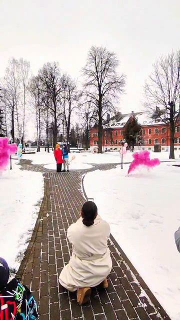 Салют дневной лапша 50 залпов розовая гендер пати