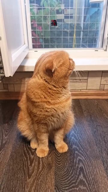 Отпусти меня в отпуск пожалуйста!¿?! 😼🫶😎