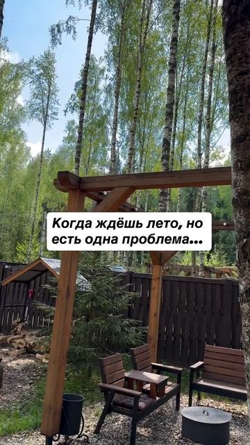 Ничего не могу с собой поделать