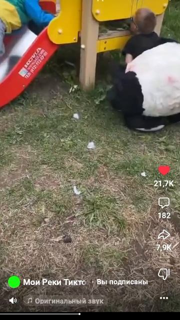 перезалив из вк видео #shorts