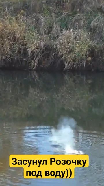 бомбочка розочка под водой))