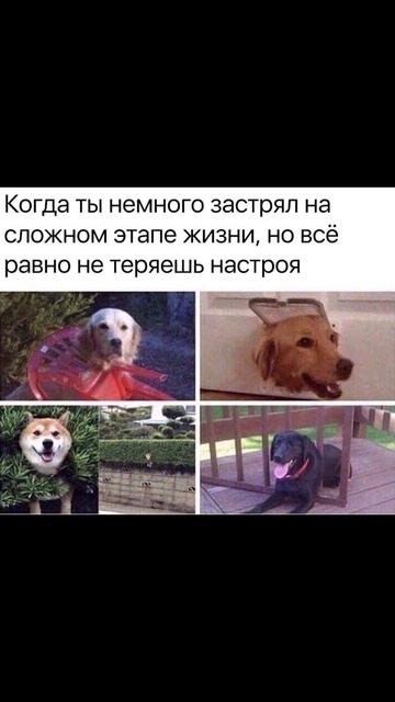 Дбрутр) Приколы
