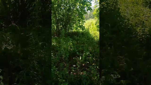 Прятки с Машей 2 часть