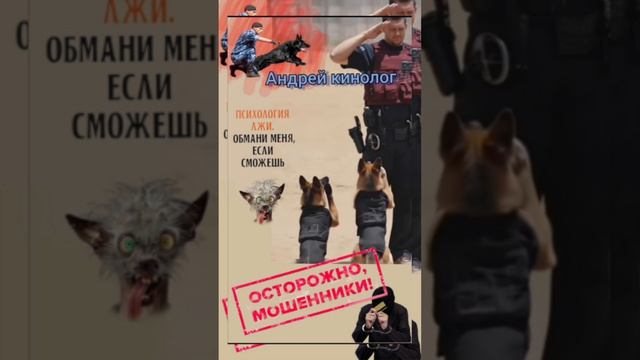 Долбим свинорылых.
