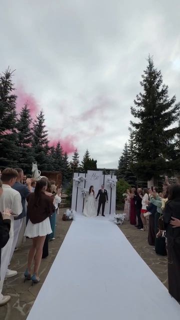 Салют дневной лапша 50 залпов розовая