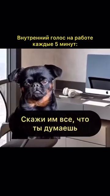 Понедельник день тяжёлый