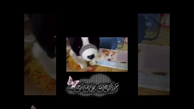 ВАУУУУ... КЛАССС