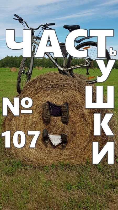Олень #юмор #анекдот